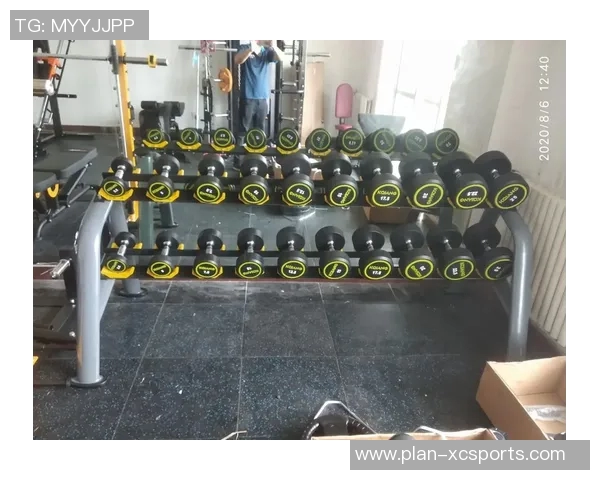 天津健身器材市场分析与发展趋势探讨助力健康生活新方式